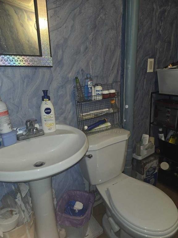 4513 44 Street, Castor, AB - Indoor Photo Showing Bathroom