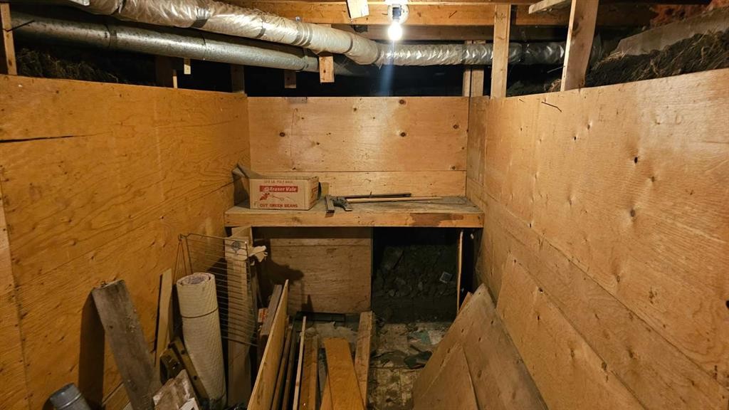 4513 44 Street, Castor, AB - Indoor Photo Showing Basement