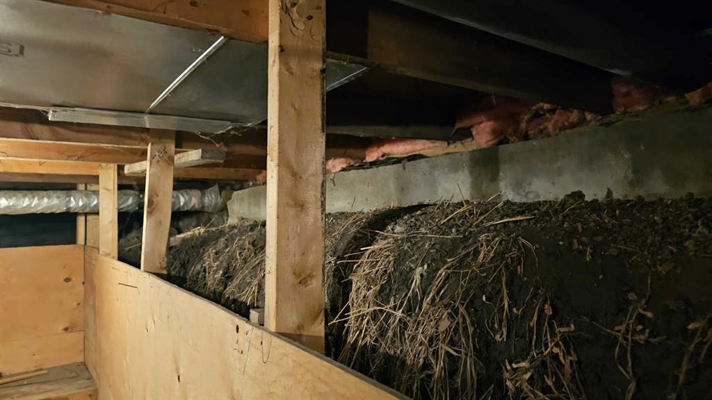 4513 44 Street, Castor, AB - Indoor