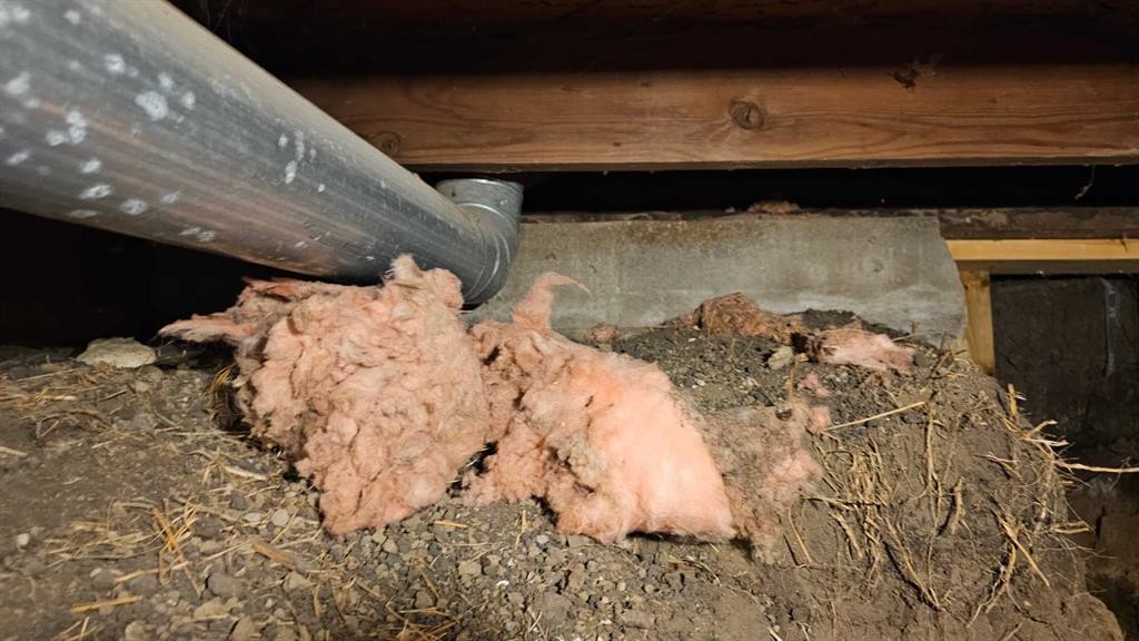 4513 44 Street, Castor, AB -