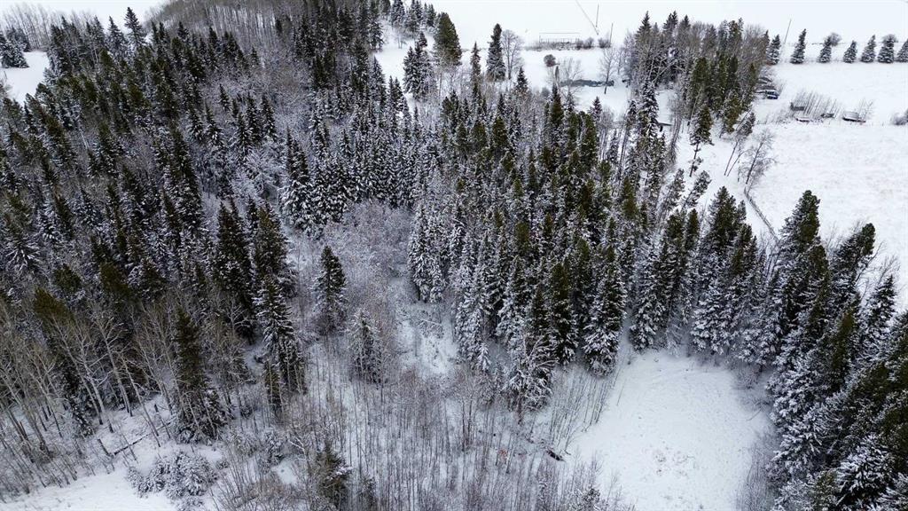 412054 Range Road 6-2, Rural Clearwater County, AB - Outdoor With View