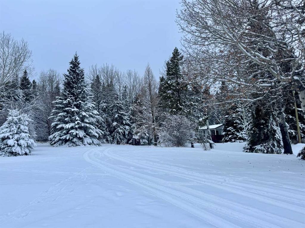 412054 Range Road 6-2, Rural Clearwater County, AB - Outdoor