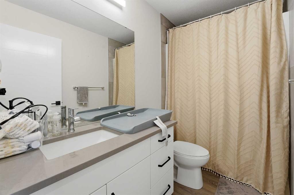 51 Lake Street, Rural Red Deer County, AB - Indoor Photo Showing Bathroom