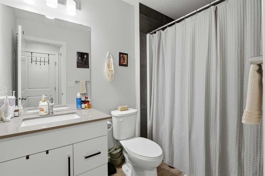 51 Lake Street, Rural Red Deer County, AB - Indoor Photo Showing Bathroom