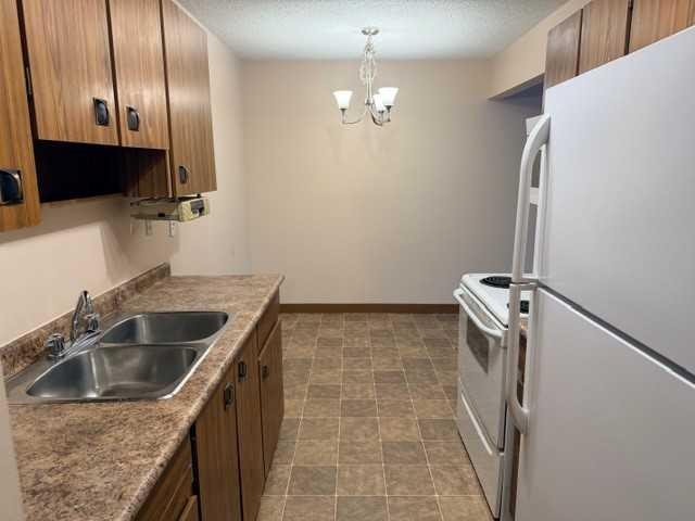 203A-4714 55 Street, Red Deer, AB - Indoor Photo Showing Kitchen With Double Sink