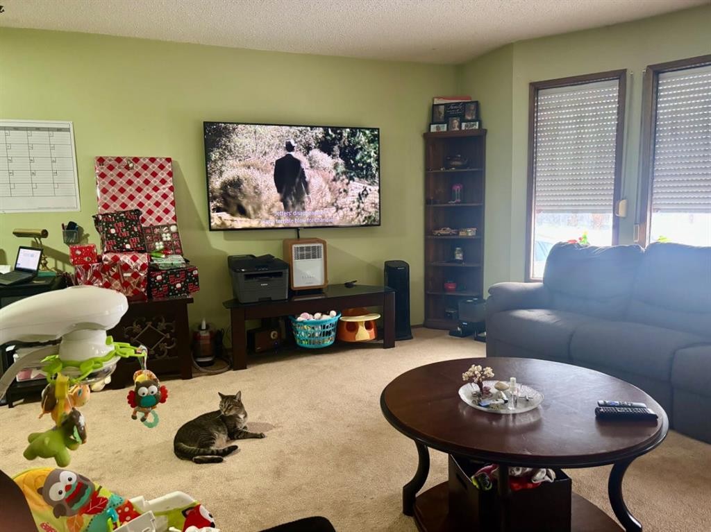 5106 54 Avenue, Camrose, AB - Indoor Photo Showing Living Room