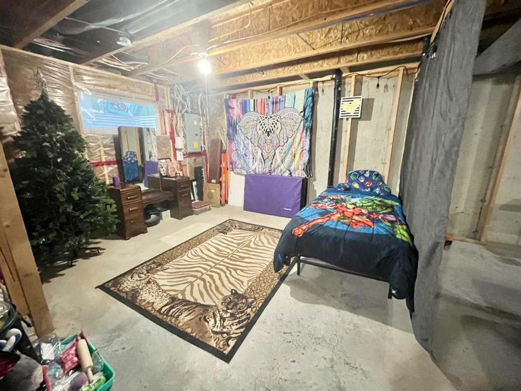 9340 211 Street Nw, Edmonton, AB - Indoor Photo Showing Basement