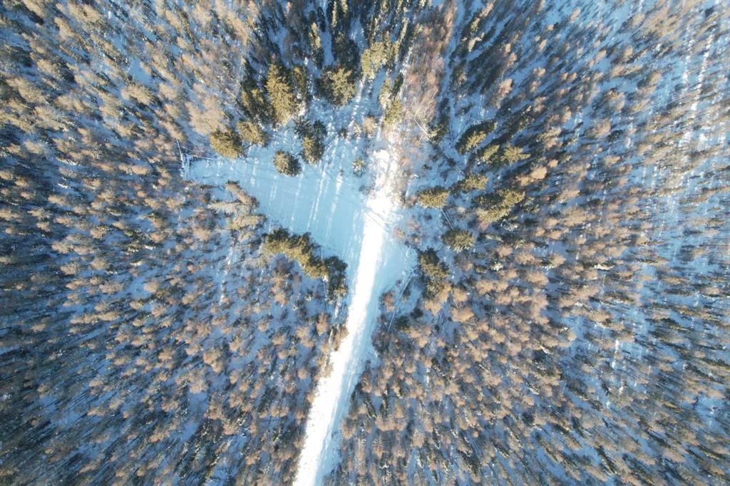 On Highway 2A, Rural Ponoka County, AB