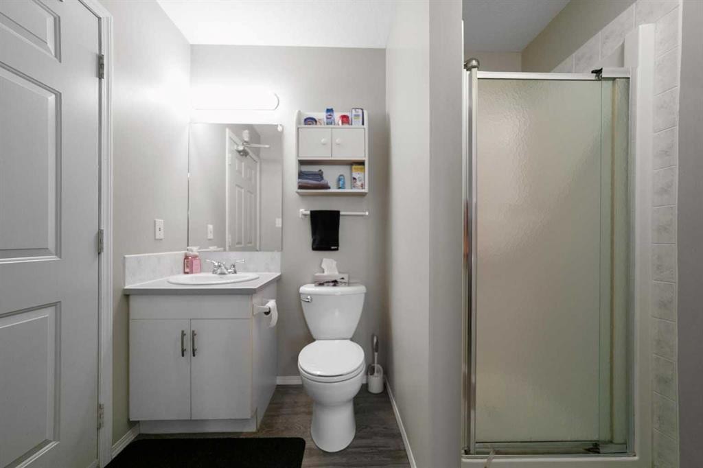 5213B 57 Street, Camrose, AB - Indoor Photo Showing Bathroom