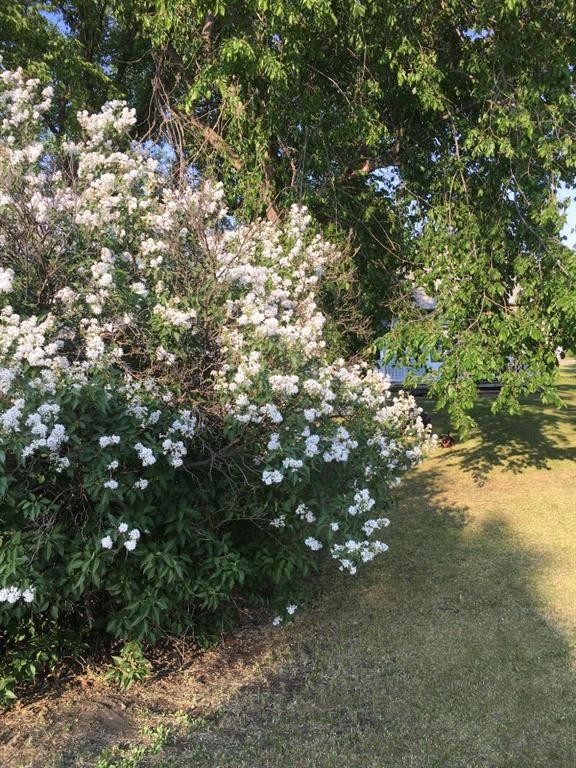 5013 49 A Street, Sedgewick, AB - Outdoor