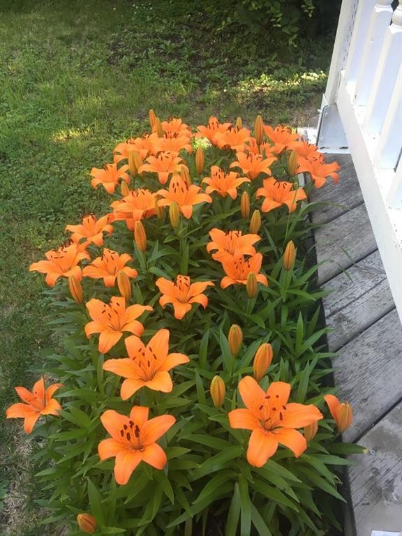 5013 49 A Street, Sedgewick, AB - Outdoor