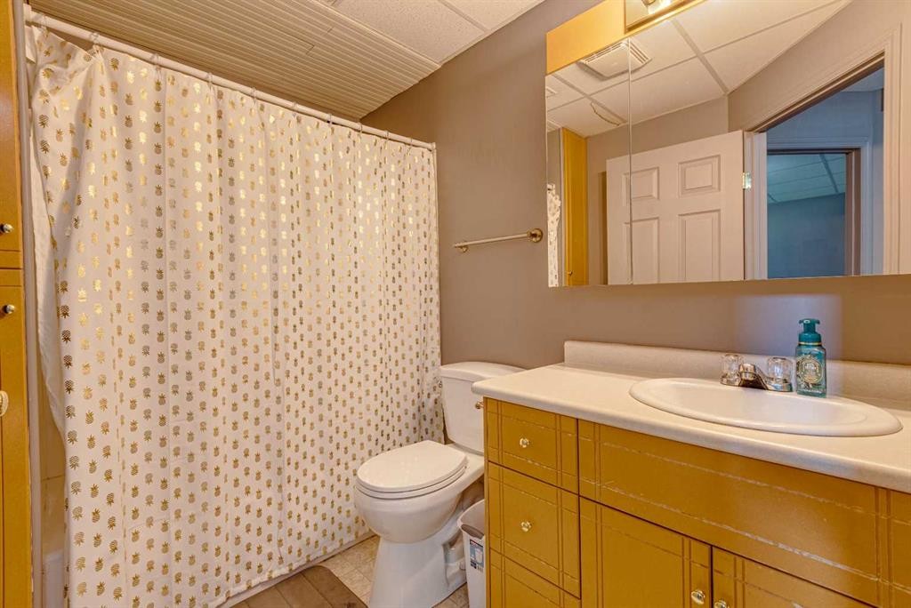 25-320 7 Avenue Ne, Three Hills, AB - Indoor Photo Showing Bathroom