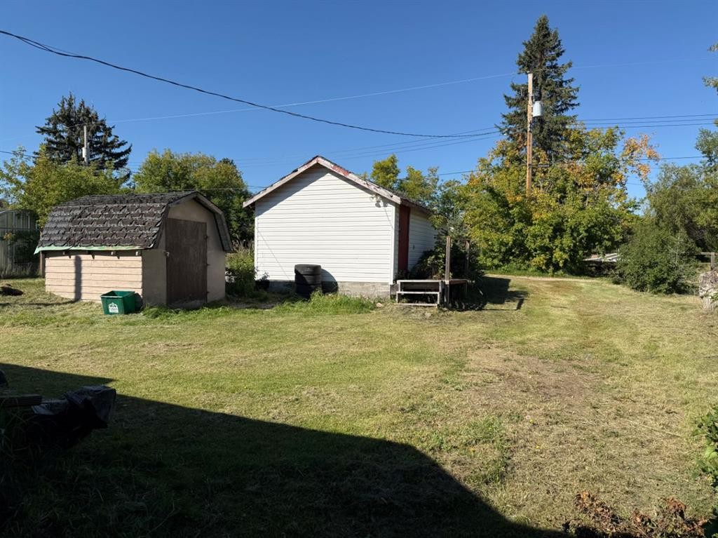 4828 51 Street, Mirror, AB - Outdoor