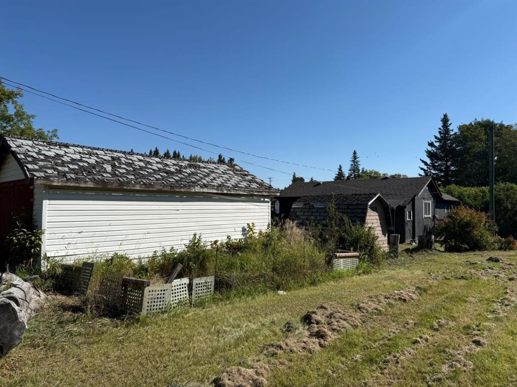 4828 51 Street, Mirror, AB - Outdoor