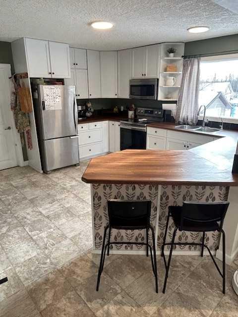392005 6-5 Range, Rural Clearwater County, AB - Indoor Photo Showing Kitchen With Double Sink