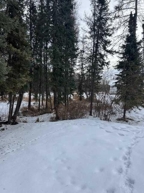 392005 6-5 Range, Rural Clearwater County, AB - Outdoor With View