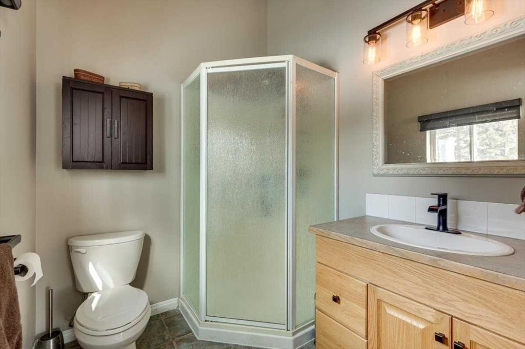 217-36078 Range Road 245 A, Rural Red Deer County, AB - Indoor Photo Showing Bathroom