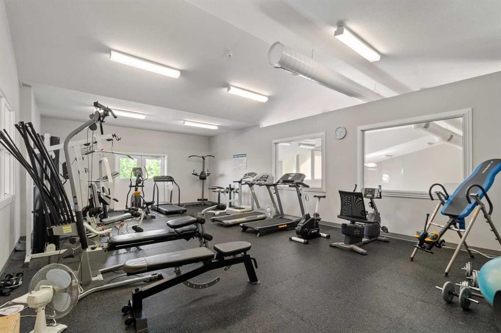 160A-10042 Township Road 422, Rural Ponoka County, AB - Indoor Photo Showing Gym Room