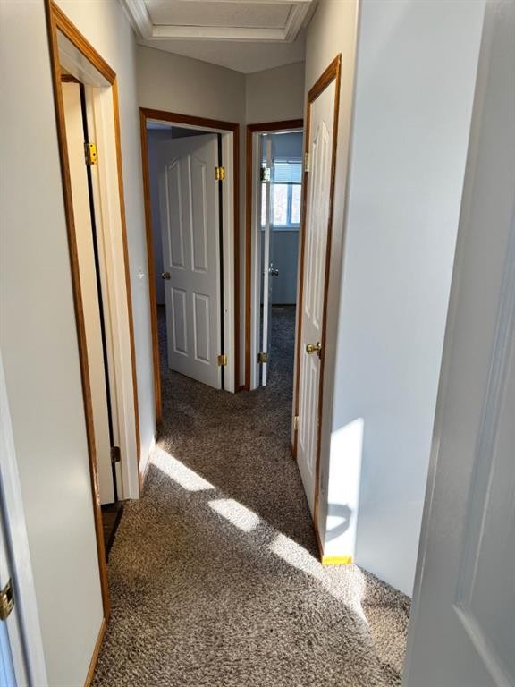 61 Lakeview Close, Blackfalds, AB - Indoor Photo Showing Other Room