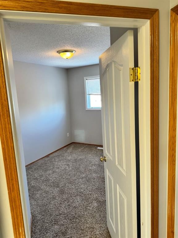 61 Lakeview Close, Blackfalds, AB - Indoor Photo Showing Other Room