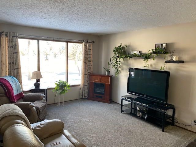 5809 43 Avenue, Camrose, AB - Indoor Photo Showing Living Room