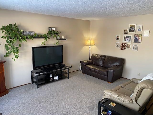 5809 43 Avenue, Camrose, AB - Indoor Photo Showing Living Room