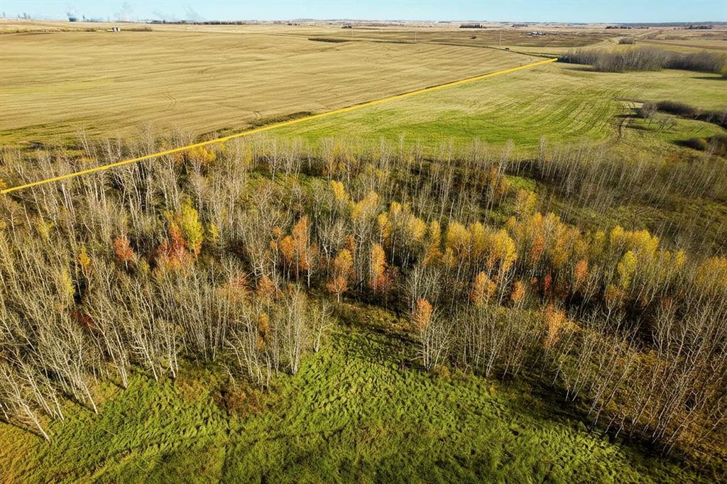 On Highway 11, Rural Lacombe County, AB