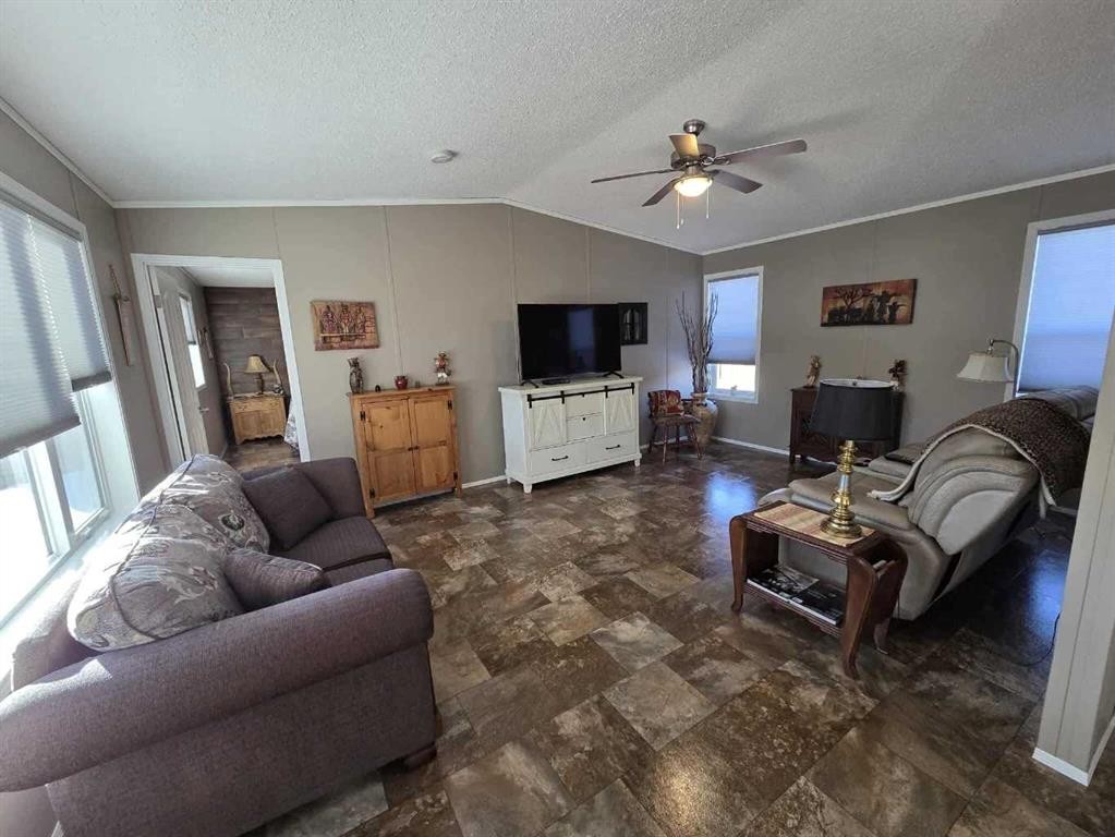 4916 49 Street, Botha, AB - Indoor Photo Showing Living Room