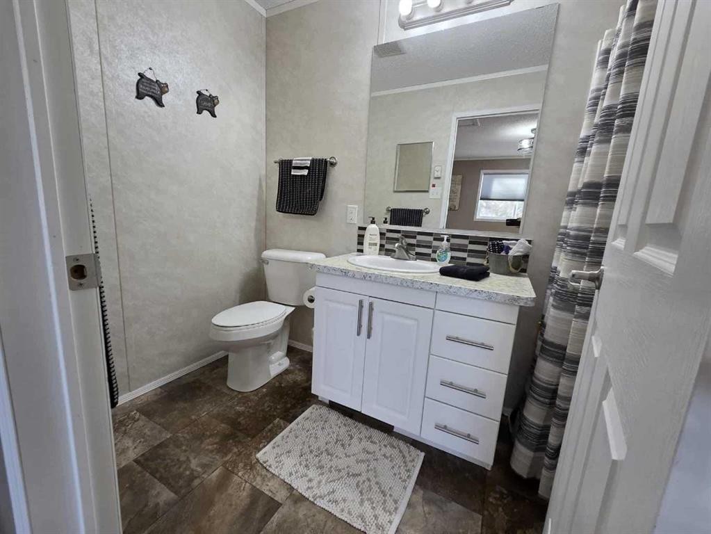 4916 49 Street, Botha, AB - Indoor Photo Showing Bathroom