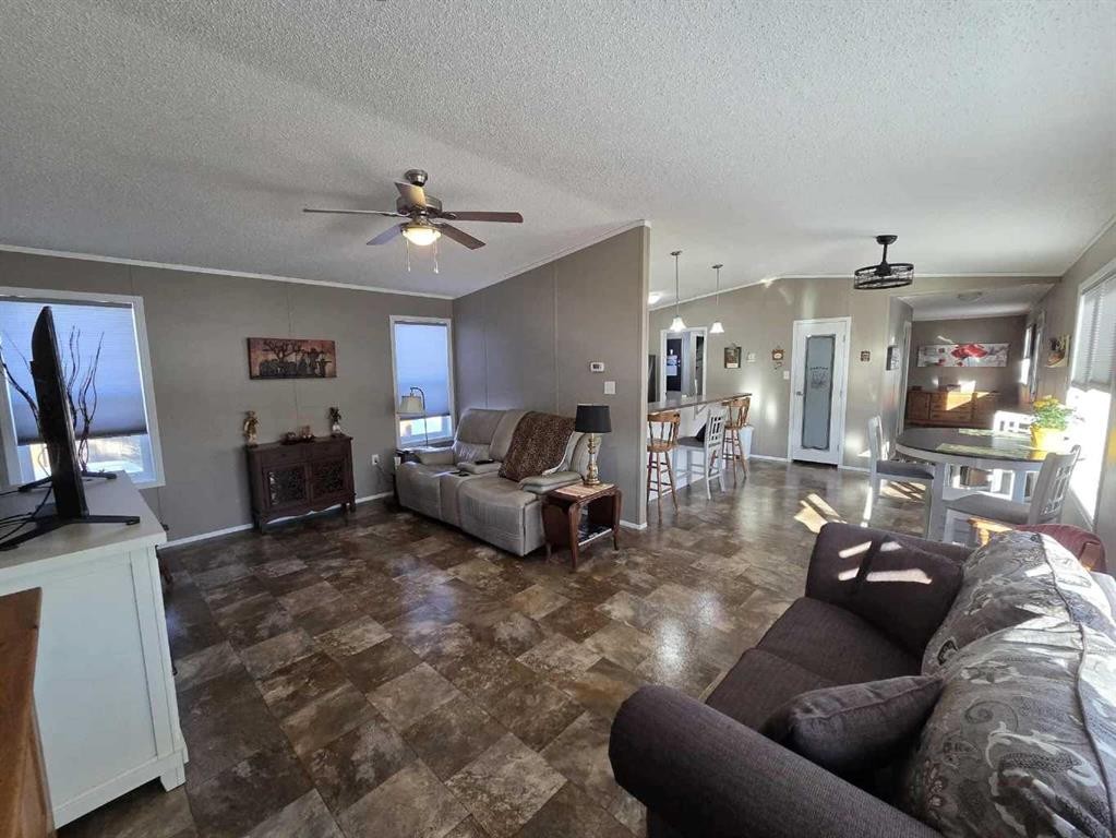 4916 49 Street, Botha, AB - Indoor Photo Showing Living Room