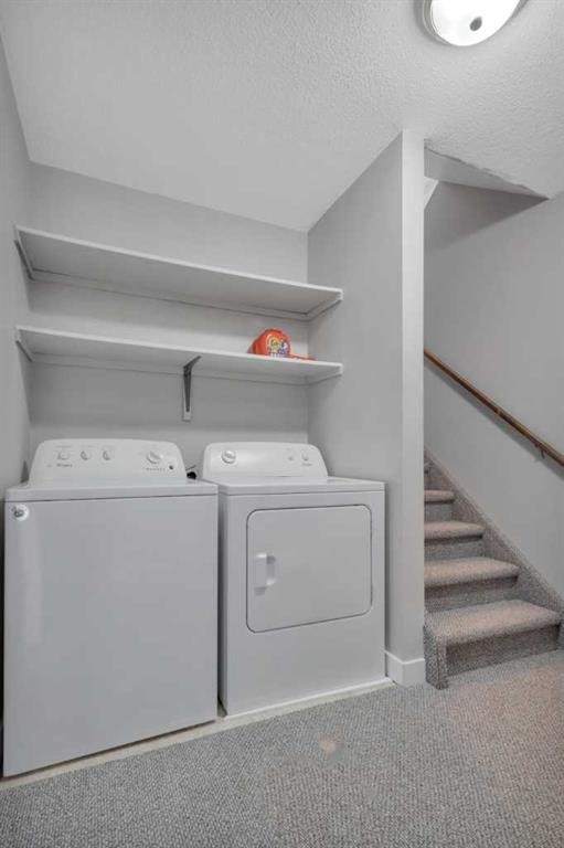 216-48 Holmes, Red Deer, AB - Indoor Photo Showing Laundry Room