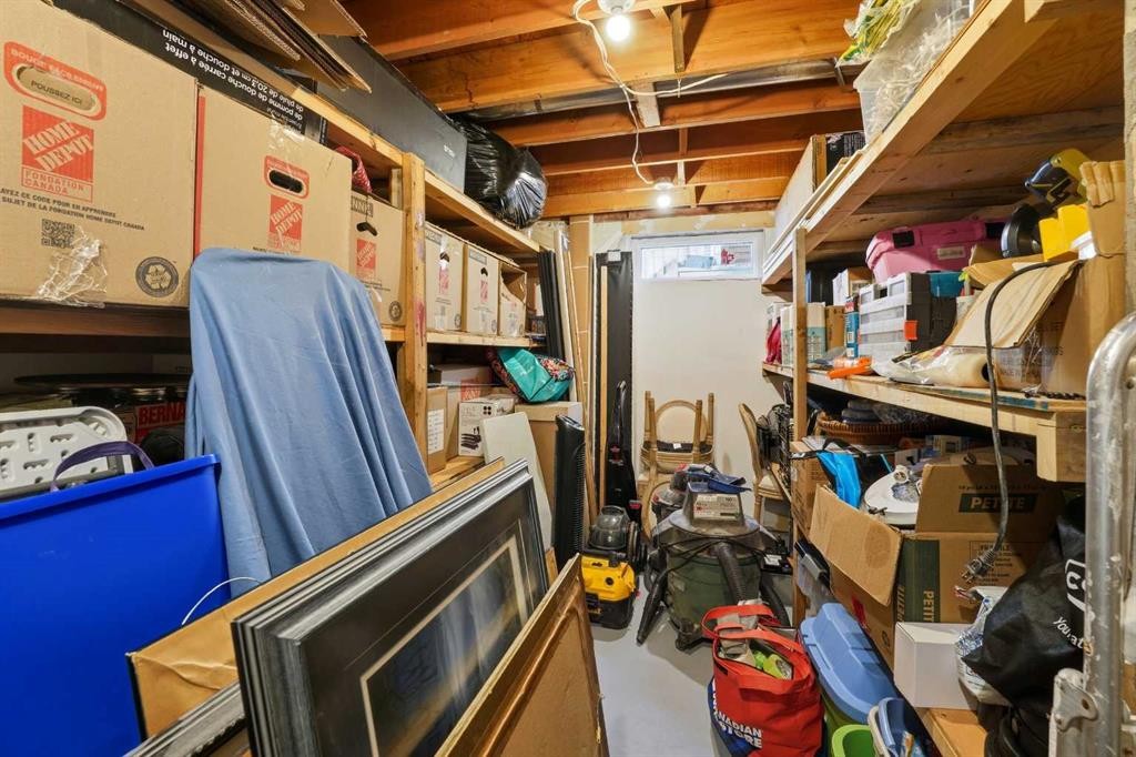 101 Erickson Drive, Red Deer, AB - Indoor Photo Showing Basement