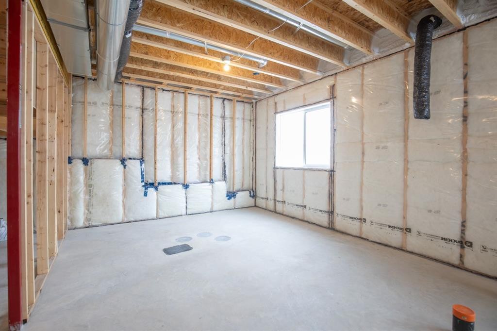 38 Thayer Close, Red Deer, AB - Indoor Photo Showing Basement