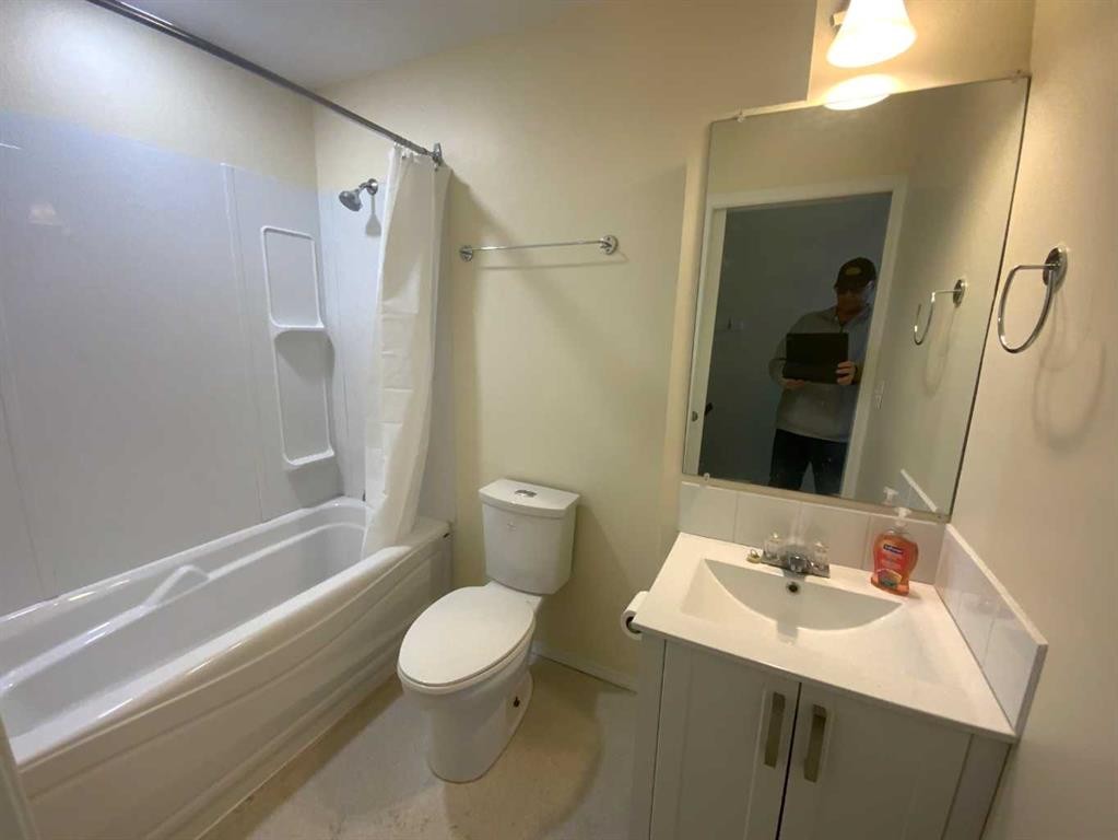 416 Arena, Trochu, AB - Indoor Photo Showing Bathroom