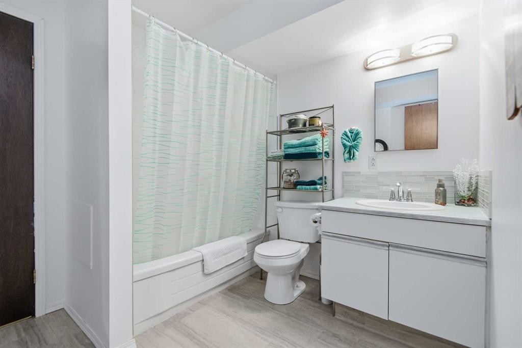 39081 C&E Trail, Red Deer, AB - Indoor Photo Showing Bathroom