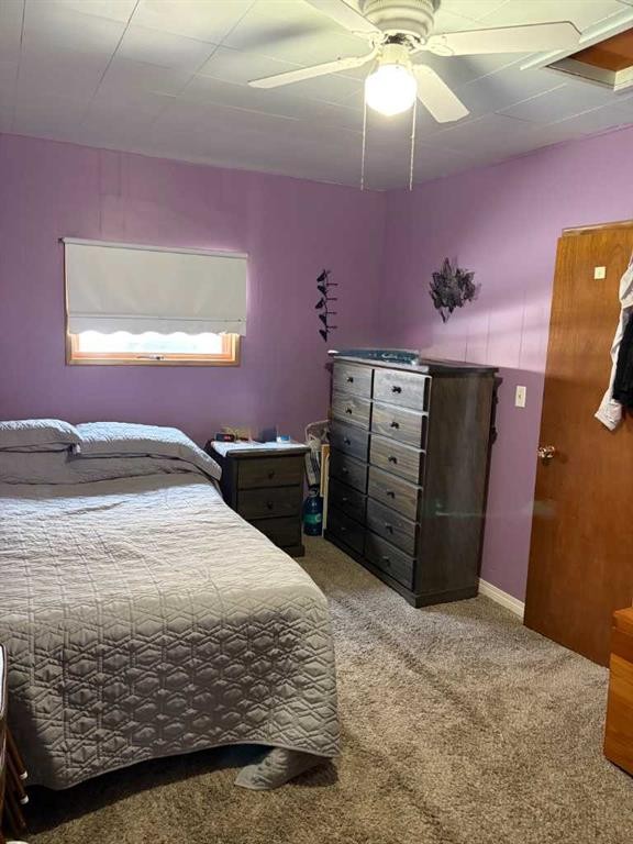 5218 50, Castor, AB - Indoor Photo Showing Bedroom