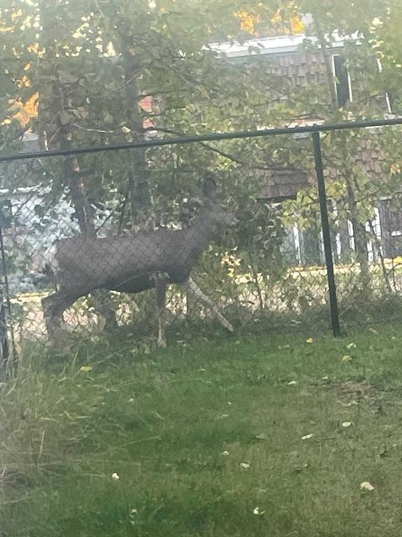 5111 47 Avenue, Sylvan Lake, AB - Outdoor With Body Of Water With View