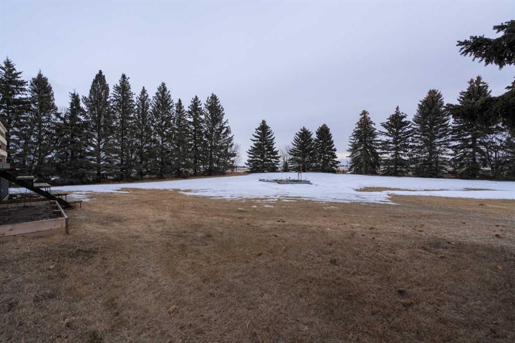 19252 462 Township, Rural Camrose County, AB - Outdoor With View