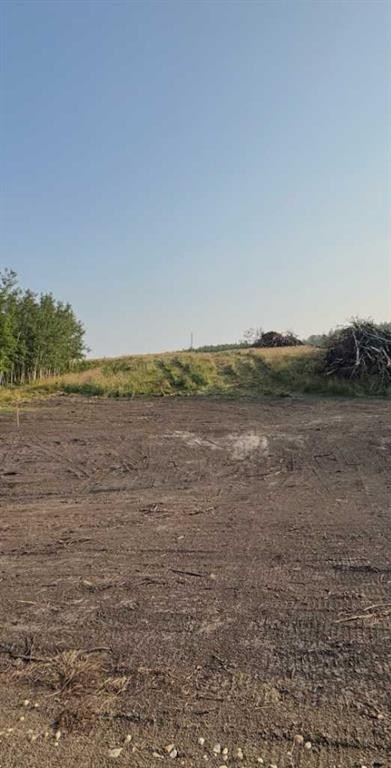 Sw 1/4 Sec 21-42-1-5 ; Lot 1, Rural Ponoka County, AB