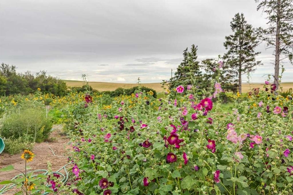 334078 Range Road 241, Rural Kneehill County, AB - Outdoor With View