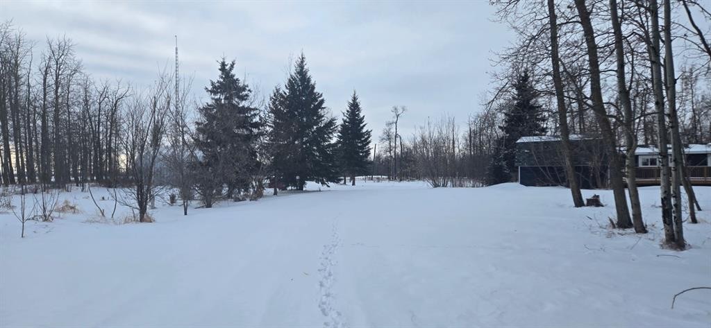 262053 Township Road 444, Rural Ponoka County, AB - Outdoor