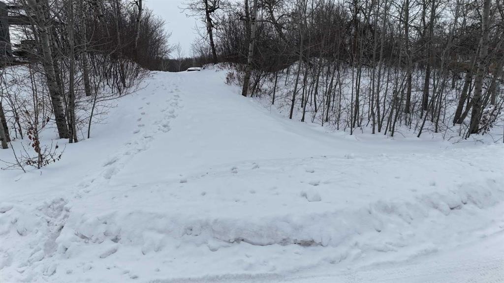 39 Sunset Lane, Rural Stettler No. 6, County Of, AB