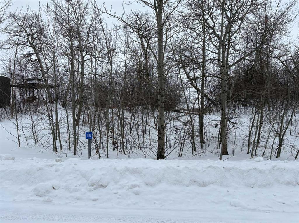 39 Sunset Lane, Rural Stettler No. 6, County Of, AB