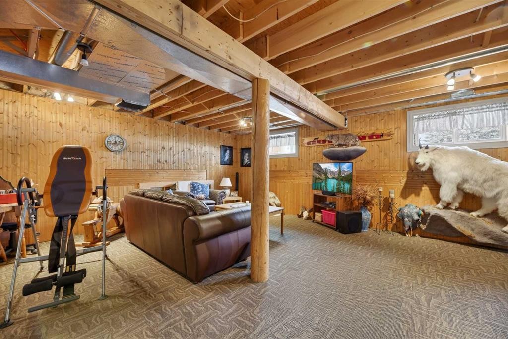 3-32460 Range Road 61, Rural Mountain View County, AB - Indoor Photo Showing Basement