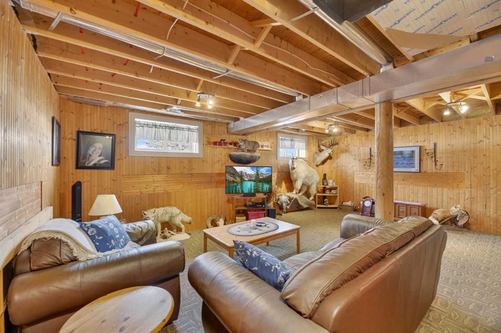 3-32460 Range Road 61, Rural Mountain View County, AB - Indoor Photo Showing Basement