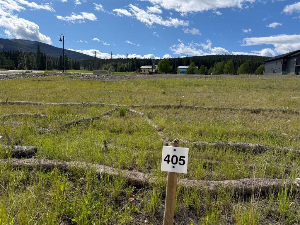 405 Lily Avenue, Nordegg, AB
