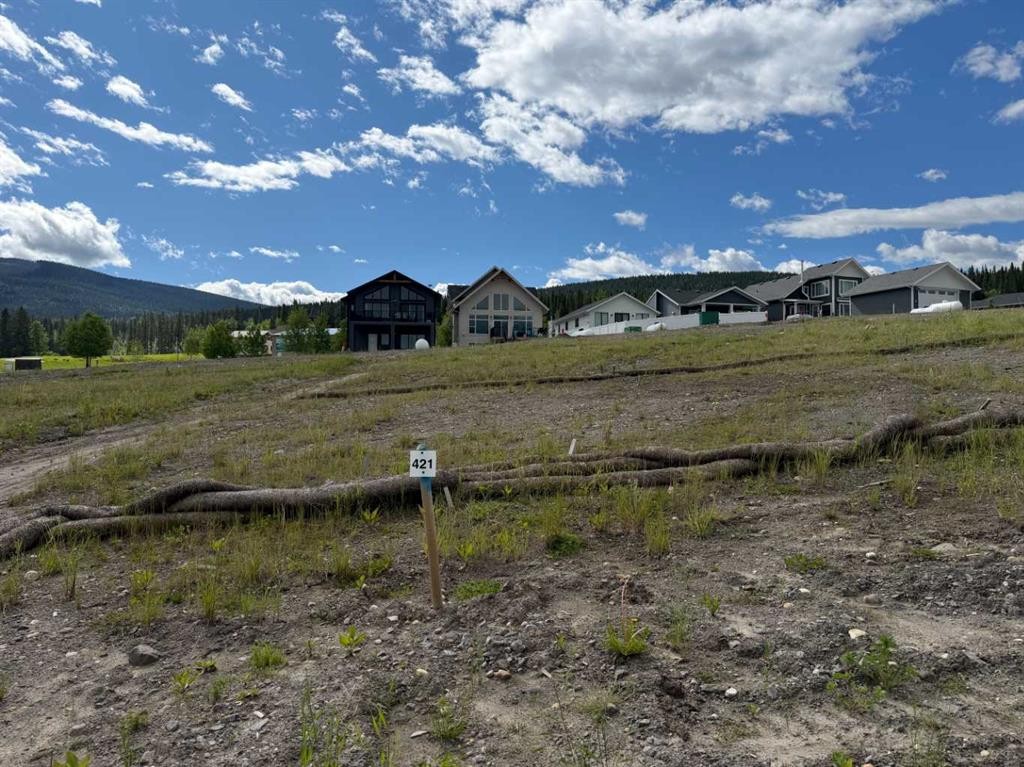 421 Lily Avenue, Nordegg, AB