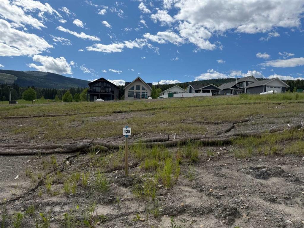 425 Lily Avenue, Nordegg, AB
