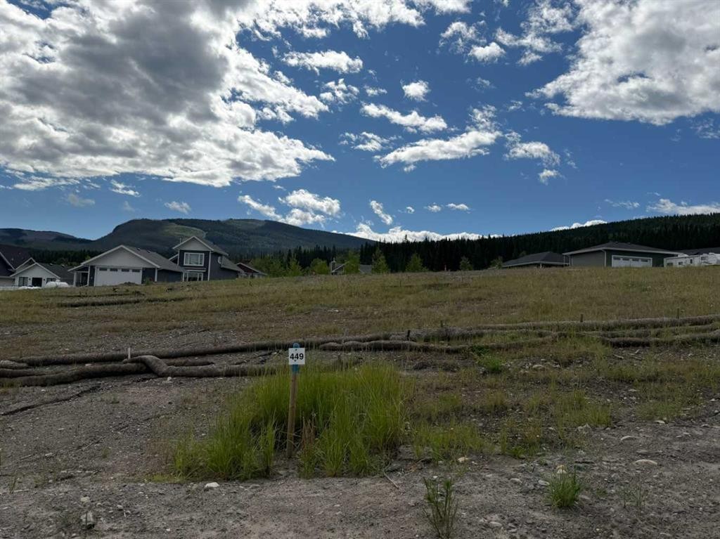 449 Lily Avenue, Nordegg, AB