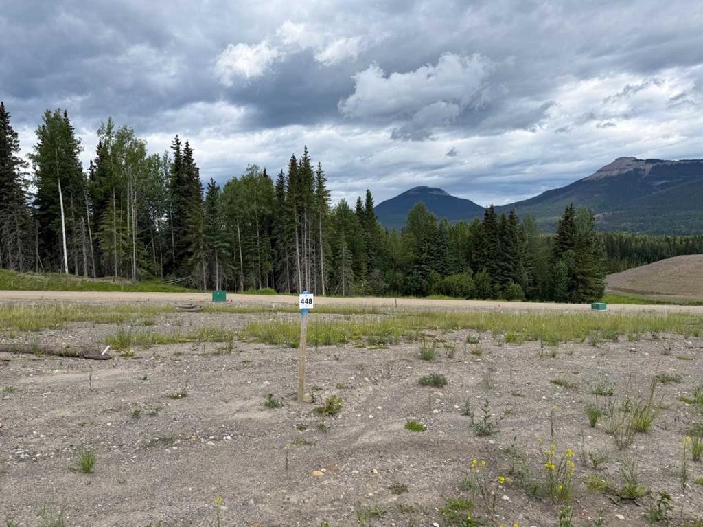 448 Lily Avenue, Nordegg, AB
